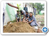 Sree Shanthi Anand Vidyalaya school students, planting tree
